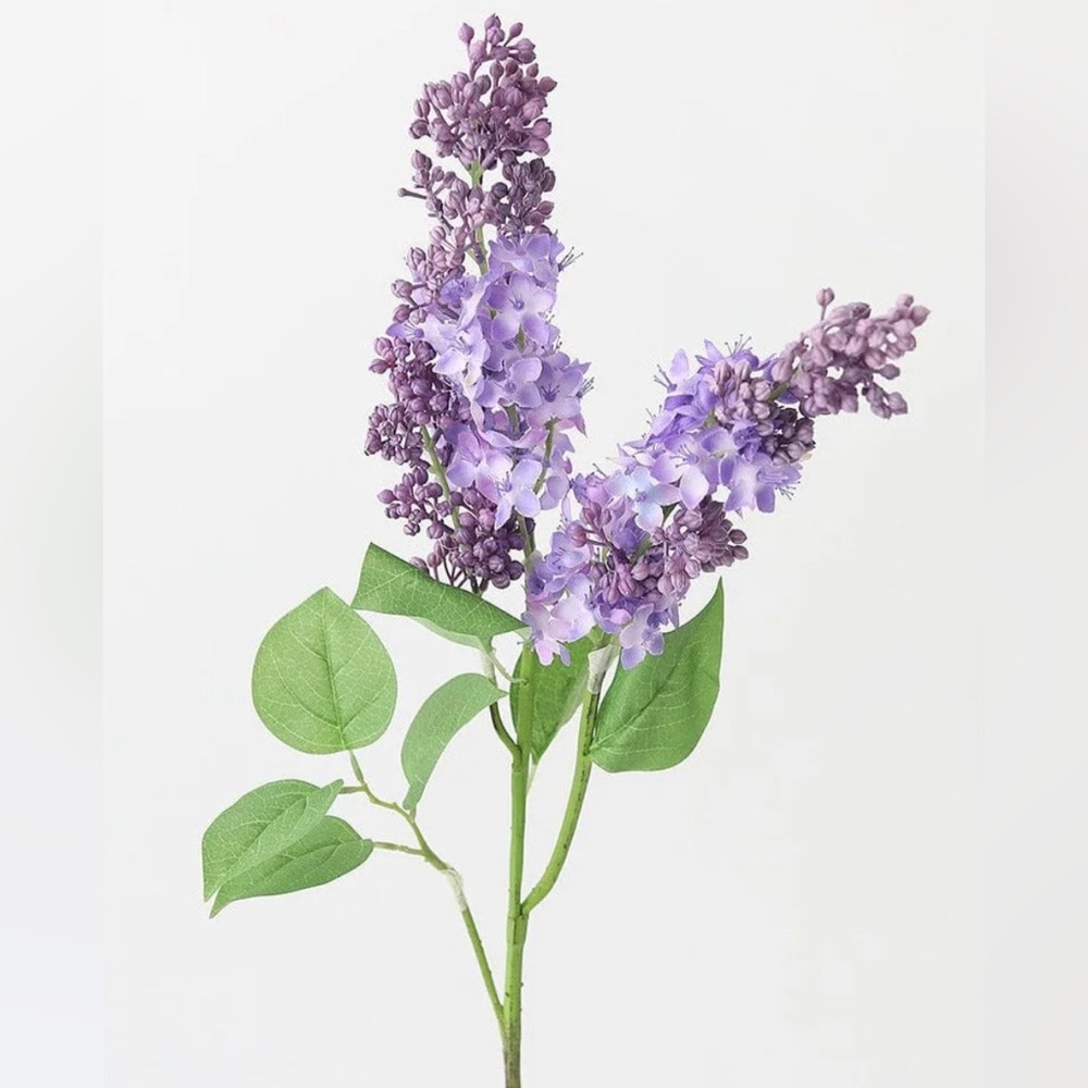 Meet your Posher, Jess.